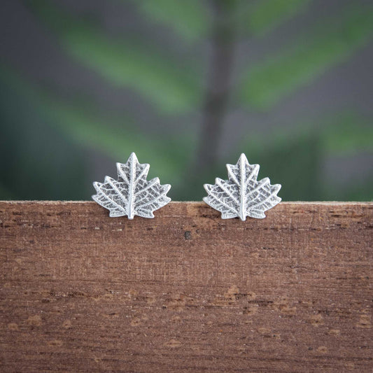 Maple Leaf Studs